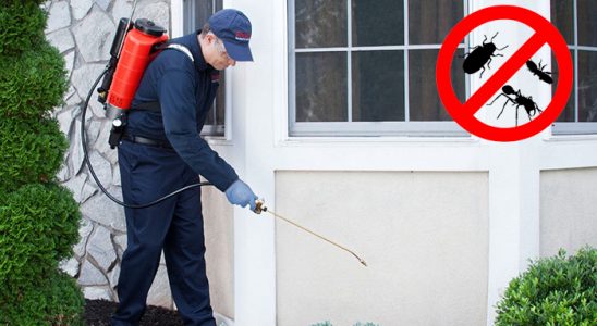 Dinar Böcek ve Haşere İlaçlama böcek ilaçlama ve haşere kontrolü — ilaclama-tr.com